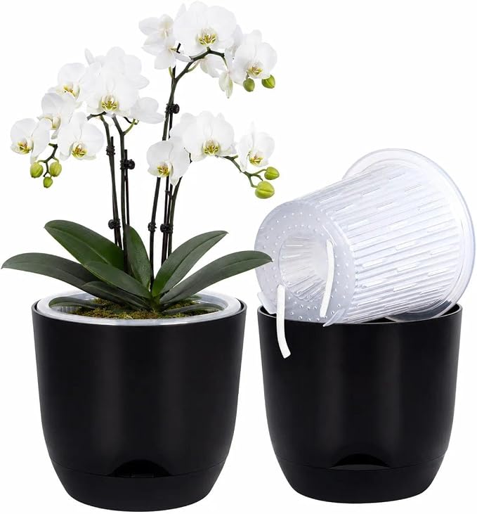 QCQHDU 5.7Inch Orchid Pots with Holes for Repotting, Double-Layer Plastic Self Watering Flower Pots for Indoor Plants with Drainage Holes, Clear Orchid Pot Match Decorative Orchid Container, 1 Pack