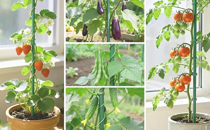 Garden Stakes 7FT, 25pcs Plastic Coated Steel Stakes Specifically Designed for Climbing Plants, Ideal for Tomatoes, Beans, Cucumbers, Peppers, Vines, and More Plant Growth