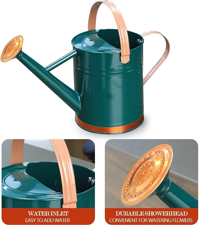 Metal Watering Can, One Gallon Watering Cans Stainless Steel for Outdoor Indoor Garden Plants Watering (One Gallon Green Decorative Strip)
