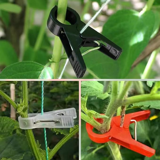 Plant Support Clips Reusable Garden Clips, Secured Plastic Plant Clips for Climbing Plants Outdoor, Plant Fixing Clips Tomato Clips for String Trellis, Vine Clips Trellis Clips (50, Black_30MM)