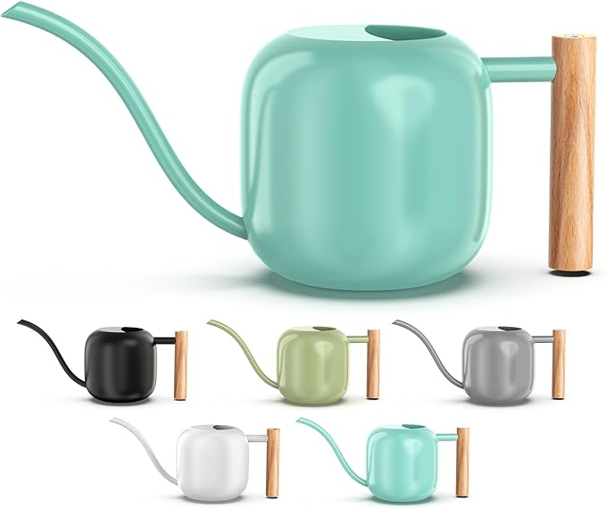 Green Moon 1.2L/41oz Metal Metal Watering Can with Long Spout, Mint Green | Metal Stainless Steel Watering Can for Indoor Plants, House Bonsai, Succulents, and Garden Flowers, Decorative Watering Cans