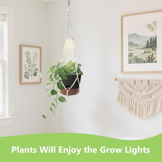 Hanging Planters for Indoor Plants: 2 Pack Macrame Plant Hangers with Grow Lights and Self-Watering Pots, Large Hanging Pots with Drainage Holes & Removable Tray（10in Black Pot, Daylight Spectrum）