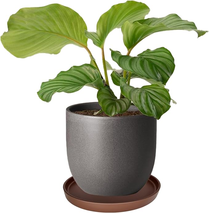 Yukfona Ceramic Plant Saucer Tray 1 Pcs 12 Inch Brown, 12.5" OD x11.9 ID x1.6 Deep| Fits Flower pots Bottom≤ 11.9", Heavy Duty Glazed Round Planter Drip with Catch Basin for Indoor Outdoor Plants