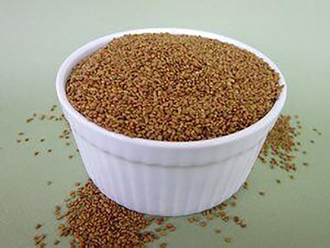 The Sprout House Alfalfa Sprouting Seeds Organic Non-GMO 1 LB
