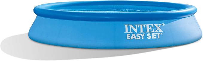 Intex 10ft x 24in Easy Set Pool Set
