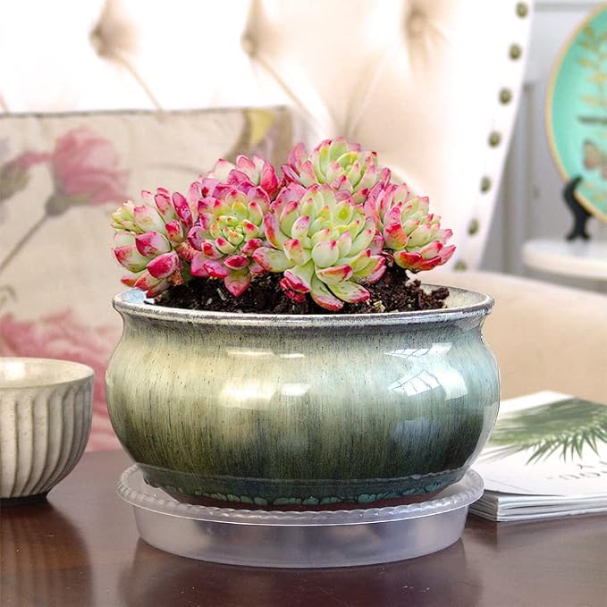 8 Inch Succulent Pot with Drainage and Saucer Glazed Terracotta Round Ceramic Succulent Planter Cactus Bonsai Plant Pot (White and Green)
