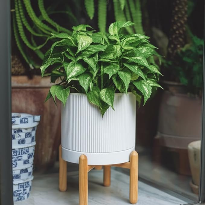 HERDUK 8 Inch Ceramic Planter with Natural Wood Stand w/Drainage & Saucer - Modern Indoor Planter for Cacti, Snake Plants & Aloe Vera