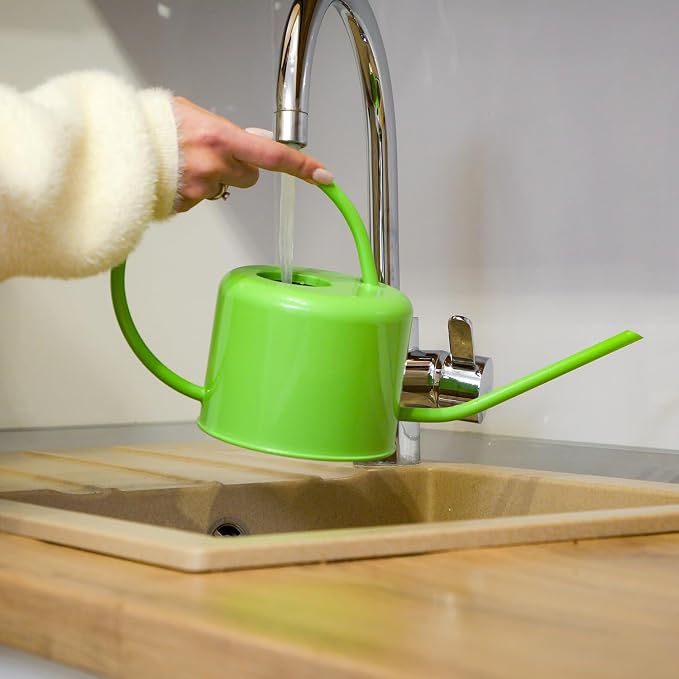 Plexon Long Spout Watering Can Indoor Plants, 40 oz Small Watering Can Pot Metal for Garden Flowers House Plants Mini, Powder Coated,Gift for Mom Girlfriend Daughter, Green