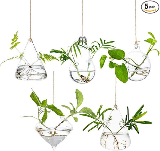 Glasseam Hanging Planters Glass Terrarium: 5Pcs Modern Plant Propagation Stations Hydroponic Wall Vases for Air Plants Flowers Indoor Window Home Decor