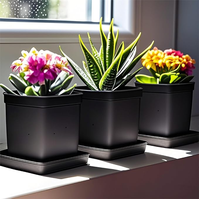 Square Plant Saucer 8 Inch 5 Pack, Planter Trays for Flower Pots, Plant Water Catcher Drip Dishes, Plastic Bottom Watering Plates Indoors and Outdoors - Black
