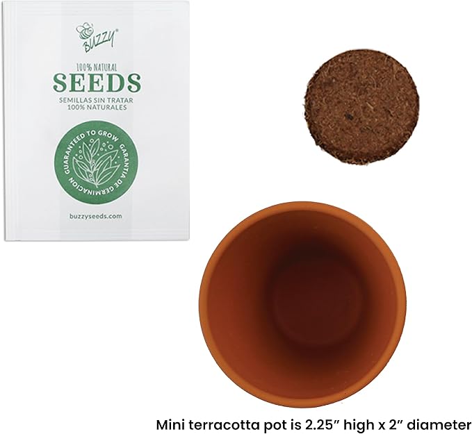 BUZZY Seeds Mini Terracotta Lavender Grow Kit, Assorted 20-Pack - Mini Terracotta Pot Grow Set - 100% Grow Guarantee