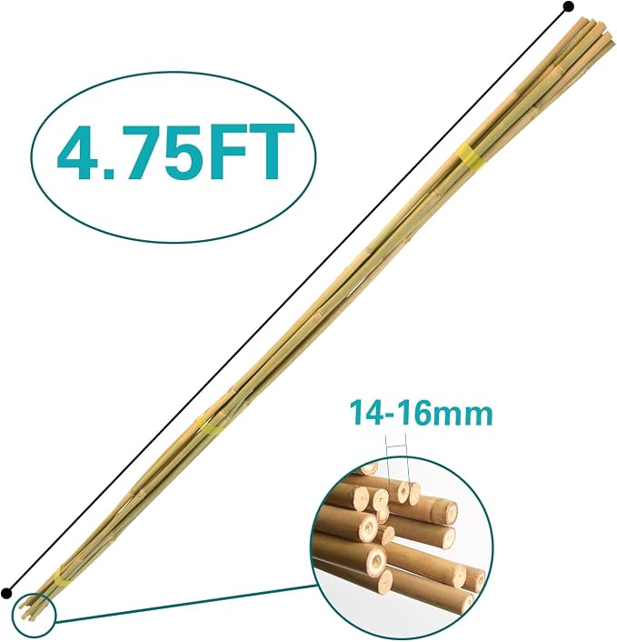 Bamboo Stakes 57 Inch, Approx 5FT Garden Stakes Multi-Purpose, Plant Stakes for Tomatoes, Beans, Cucumbers, Peppers, Flowers, Potted, Maintain the Plant Posture, Strengthen and Stem