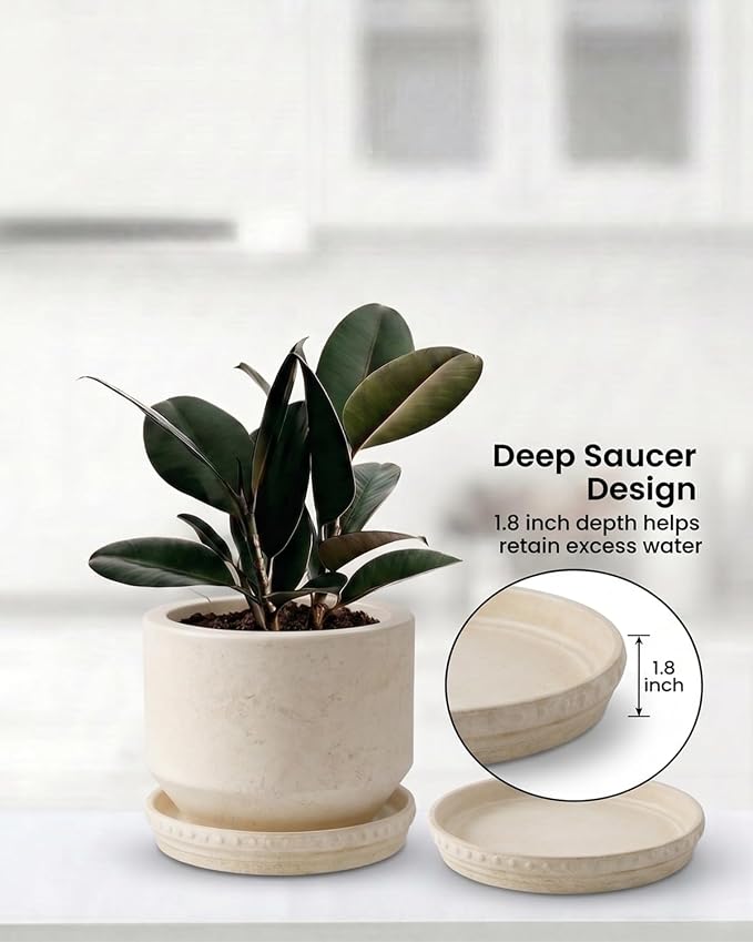 YBX 8-inch Plant Saucer Premium Terracotta Saucer Round Ceramic Plant Trays, Pack of 2 (Beige White)