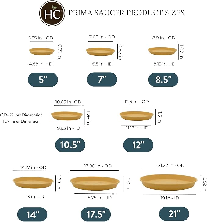The HC Companies Round Prima Flower Pot Saucers - Plastic Plant Saucer for Outdoors & Indoors - Traditional Plant Pot Trays for Water Drainage -Durable Plant Tray (12-inch Honey, Pack of 1)