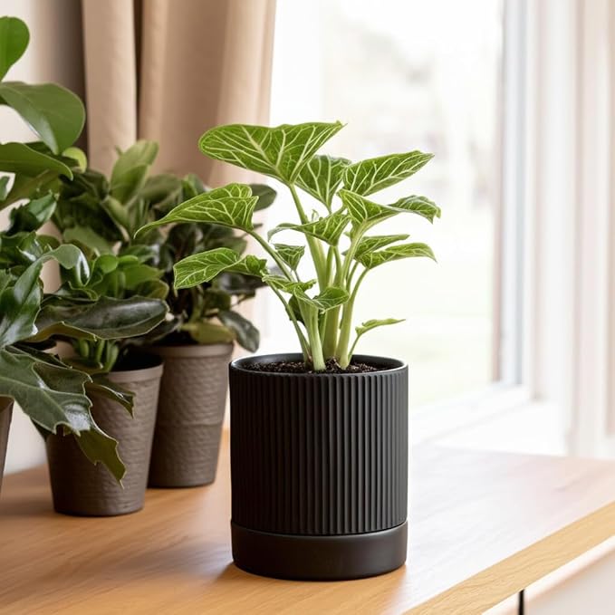HERDUK Small Plant Pots, 4 Inch Pots for Indoor Plants, Modern Minimalist Ceramic Plant Pots with Drainage Hole & Saucer, Matte Black Set of 2