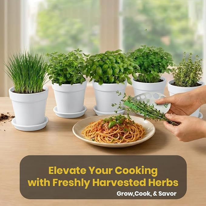 47 PCS Herb Garden Seeds Starter Kit, 10 Non-GMO Culinary Herb Seeds with White Pots & Planters for Windowsill, Herb Growing Kit Indoor & Outdoor, Unique Herb Garden Gift Set for Gardening Lovers