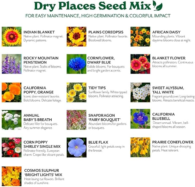 Grow Your Own Vibrant Annual and Perennial Wildflower Garden Mixture, Varieties for Pollinators and Spring Gardens - Dry Places Mix, 10 lbs