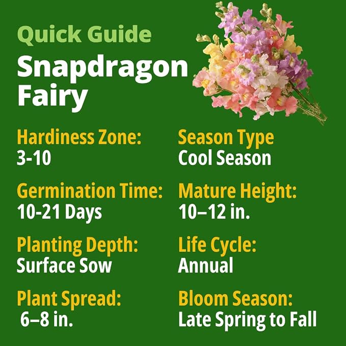 HOME GROWN Snapdragon Fairy Seeds – 10000 Snapdragon Seeds for Spring Planting 2026, Dwarf Plants, Long Blooming Flower Seed for Garden Beds, Pollinator Friendly (Antirrhinum Majus)