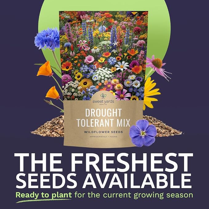 Drought Tolerant Wildflowers Mix – Bulk 1 Pound Bag – Over 120,000 Open Pollinated Non-GMO Seeds – 21 Different Dryland Species