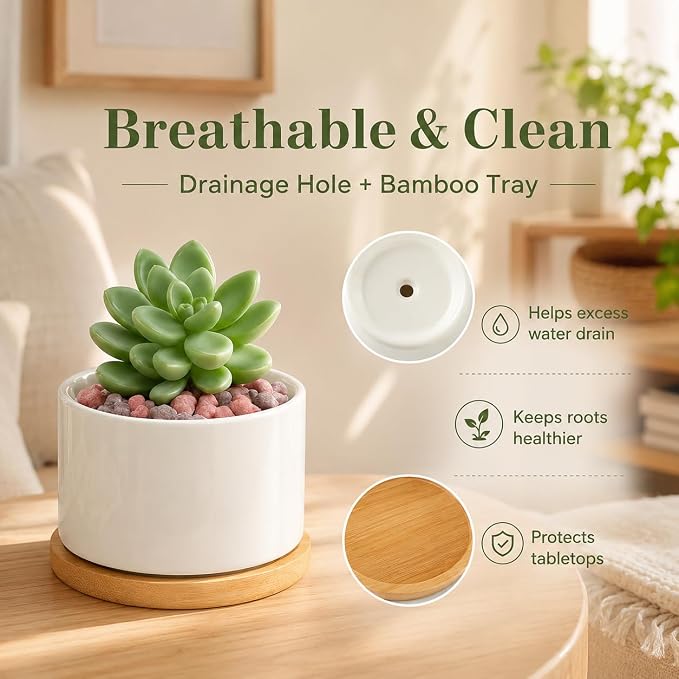 ZOUTOG Ceramic Succulent Pots 8 Pack,3.6 Inch Plant Pots,Succulent Planters with Drainage Hole & Bamboo Tray for Indoor Plants,White Small Flower Planters for Home,Office,Desk