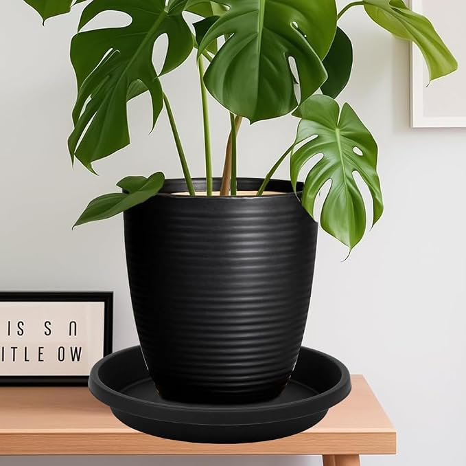 NIMYAU 2 Pack Plant Saucer 10 Inch, Drip Trays for Potted Plants, Flower Pot Saucers Plant Trays for Pots, Plastic Planter Tray for Indoors, Plant Water Catcher Tray, Birdbaths for Outdoors