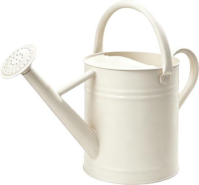Metal Watering Can for Outdoor and Indoor Plants, Watering Can Decor, 1 Gallon（Cream White）