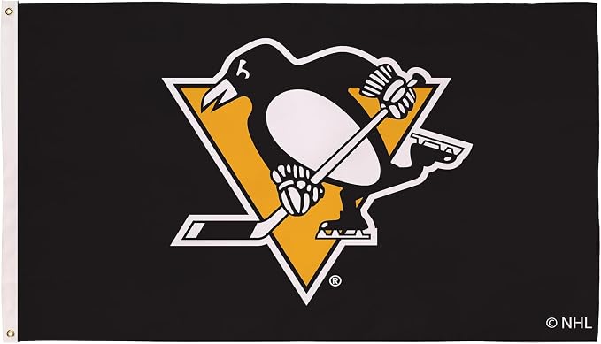Team Sports America NHL PITTSBURGH PENGUINS 3' x 5' Outdoor Flag with Grommets, Heavy Duty Flag & Banner for Garden Patio, Indoor Wall Decor, Works with Flag Poles for Outside House