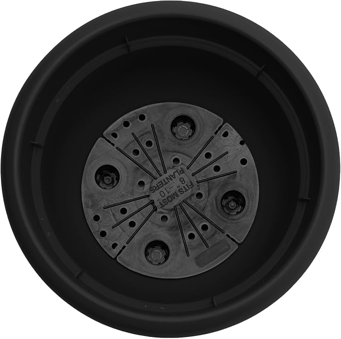 Bloem Ariana 12" Self-Watering Plastic Planter - Rolled Rim Indoor/Outdoor Garden Pot, Black, 2-Pack