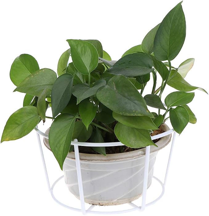 Hanging Railing Planters Baskets Balcony Flower Pot Holders Plant Iron Racks Fence Metal Potted Stand Mounted Balcony Round Plant Baskets Shelf Container Box for Indoor&Outdoor Use,Garden Steel Pots