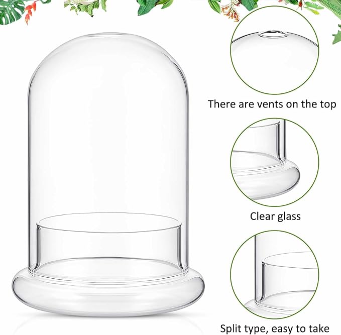 2 Pcs 4.7 x 6.3 Inch Glass Terrarium Dome Cloche with Air Hole & Glass Base, Clear Terrarium Containers Ventilated Plant Humidity Dome for Carnivorous Plants Orchids Tropical Cuttings, No Leakage