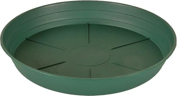 Hydrofarm HGS10P Green Premium Saucer 10-Inch, 25 Count(Pack of 1), 10 inches