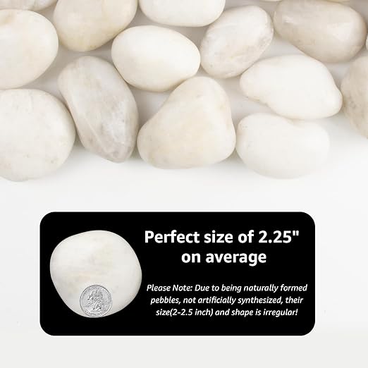 Natural Polished White River Rocks, 2-2.5 inches, 20 lbs - Suitable for River Rocks in Landscaping, Aquariums, and Drainage for Garden and Indoor Plants (White, Weight: 20 LB)