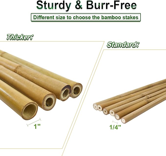 Jollybower 10pcs 1" D Thicker Heavy Duty Bamboo Stakes, 8FT Plant Stakes, Natural Garden Stakes for Tomato, Bean, Flowers,Trees Potted and Climbing Plant Support