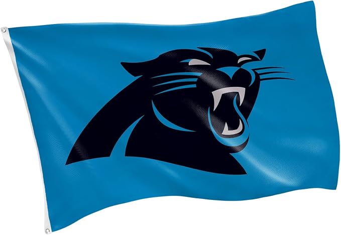 NFL Carolina Panthers 3 x 5 Outdoor Durable House Flag with Grommets | Sport Team Flag & Banner | Indoor Wall Decor Flag for Room | Works with Flag Poles for Outside House