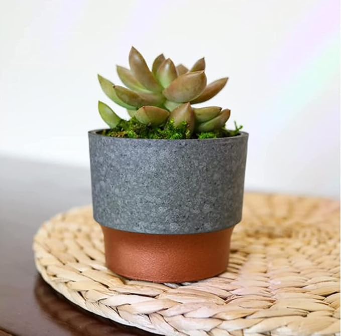 The HC Companies 3 Inch Sprite Mini Succulent Pot- Smal Plastic Planter with Drainage for Indoor Plants, Faux Concrete Copper
