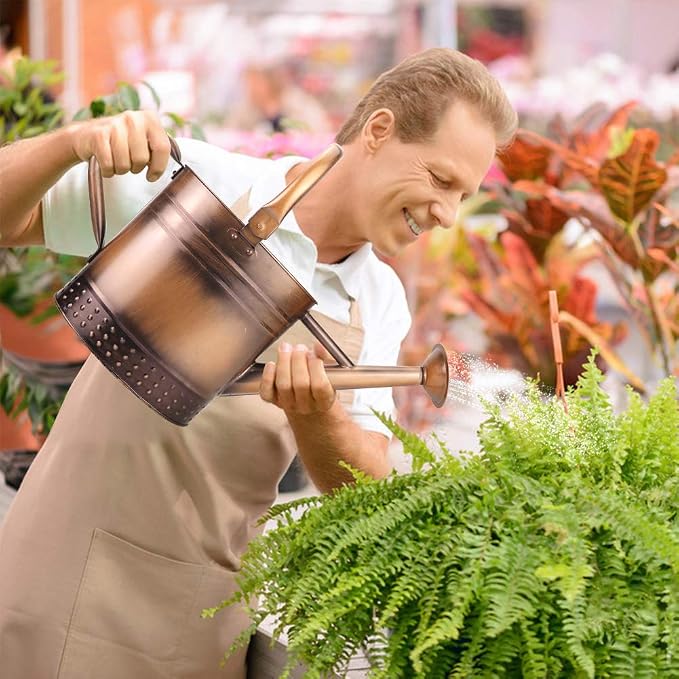 1 Gallon Metal Watering Can with Removable Spout, Nice Galvanized Steel Water Can with Embossed Design for Indoor and Outdoor Plants