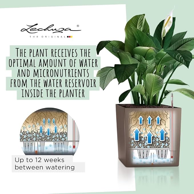 Lechuza Cube 50 Premium Charcoal Metallic, Self-Watering Square Planter, H19.3 L19.3 W19.3 in