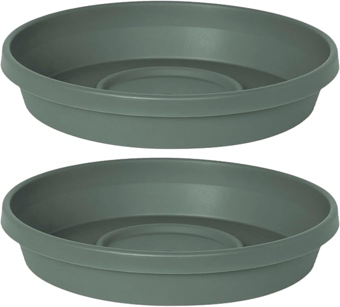 Bloem Terra 16" Round Plastic Plant Saucer, Lightweight UV-Resistant Indoor/Outdoor Flower Pot Tray - Fits 16-inch Planter Pots, Basil, 2-Pack