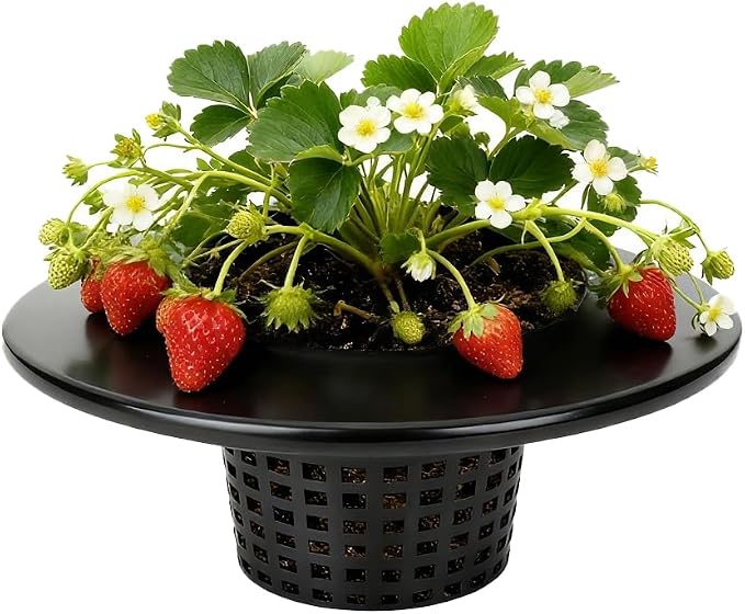 6 Inch Net Pots with Wide Lids for 3.5 and 5 Gallon Buckets 5 Pack Hydroponic Net Cups