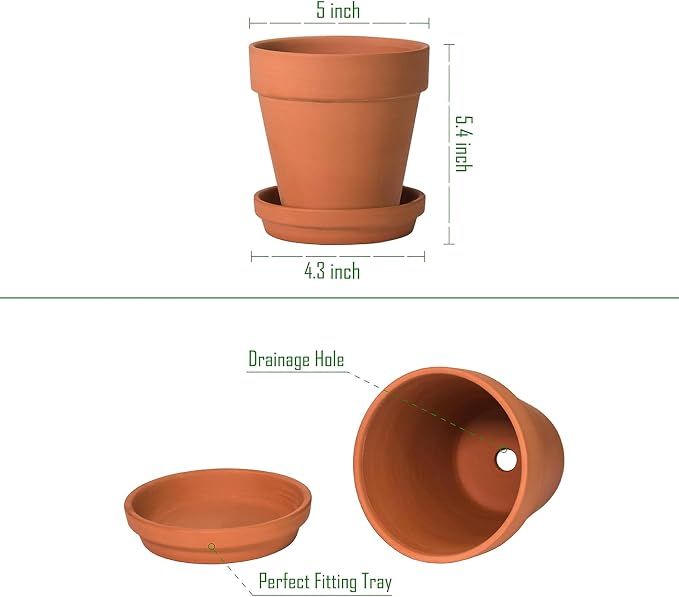 D'vine Dev Pack of 6 Terra Cotta Pots with Saucers, 5 Inch Clay Pots for Plants & Succulents, Terracotta
