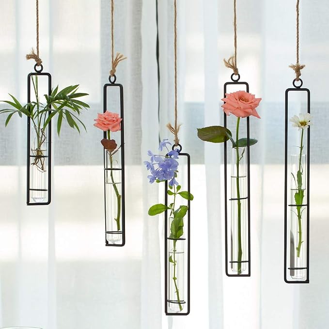 Sziqiqi Hanging Clear Glass Propagation Tube Vase for Cuttings, Hydroponic Plant Propagation Home Balcony Floral Container Wall Decoration Black 2ps (L+L)