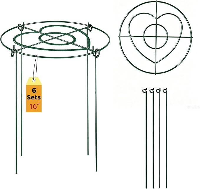 (6 Sets) Peony Cages and Supports, 16" Diameter, 4 x 24 Inches Legs, Heavy Duty Rust-Proof Grow Through Plant Support for Outdoor Flower Plants, Metal Grid Ring Hoop for Peonies, Roses, Orchids
