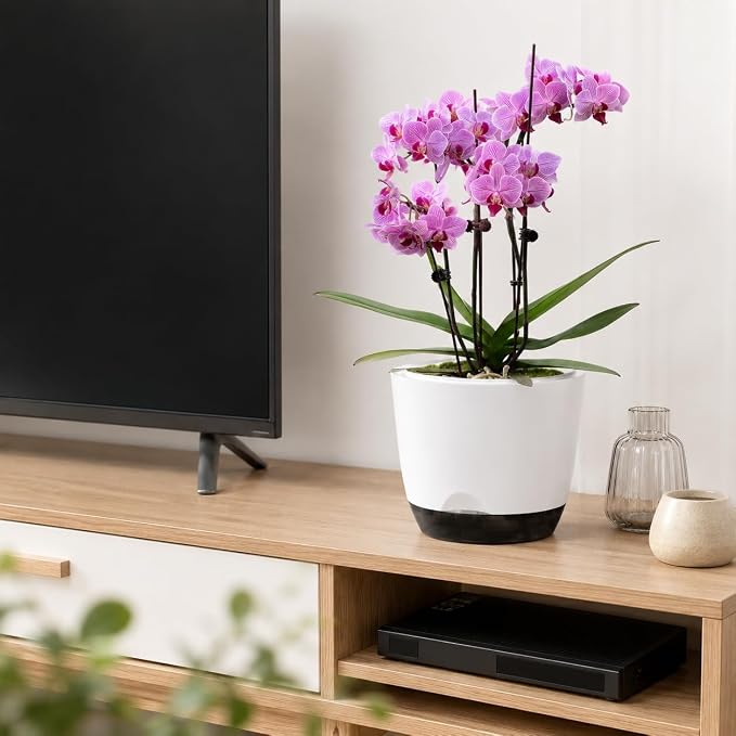 7.2Inch White Orchid Pots with Holes for Repotting, Double-Layer Plastic Self Watering Flower Pots for Indoor Plants with Drainage Holes, Clear Orchid Pot Match Decorative Orchid Container, 3 Packs