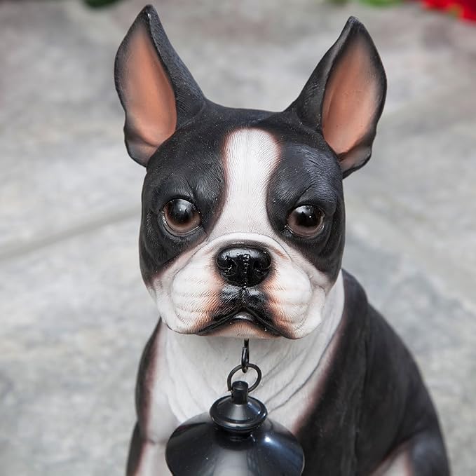 Bits and Pieces - Boston Terrier Solar Lantern Statue - Yard Decorations - Solar Powered Garden Lantern - Resin Dog Sculpture - Outdoor LED Lighting