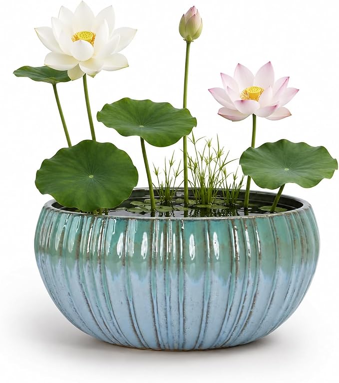 vensovo Round Ceramic Lotus Planter Pot - 11 Inch Large Lotus Flower Bowl, Water Lily Bowl Planter for Aquatic Plants, Bonsai Trees(Green Gradient)
