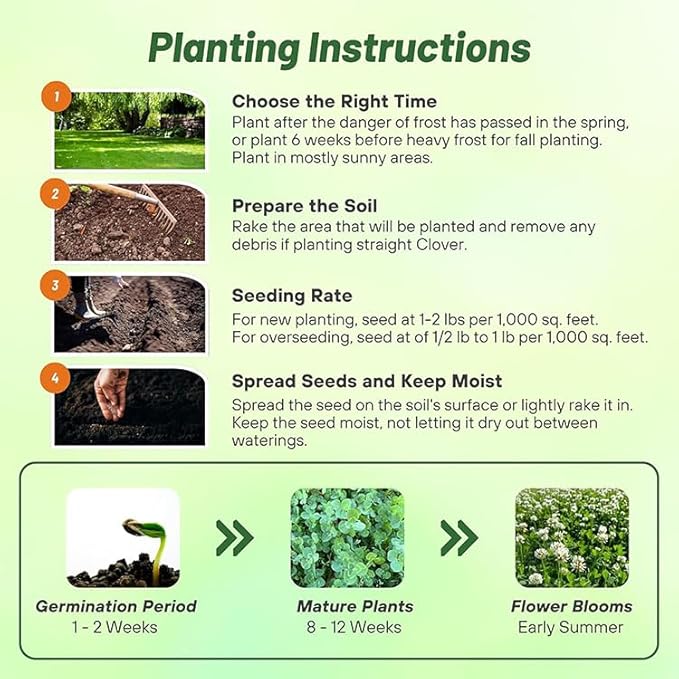 Outsidepride Perennial White Dutch Clover Seed - 10 lbs. Nitrocoated, Inoculated Clover Seeds for Lawn Alternative, Erosion Control, Food Plots, Ground Cover, & Pasture Mixtures in USDA Zones 3-10