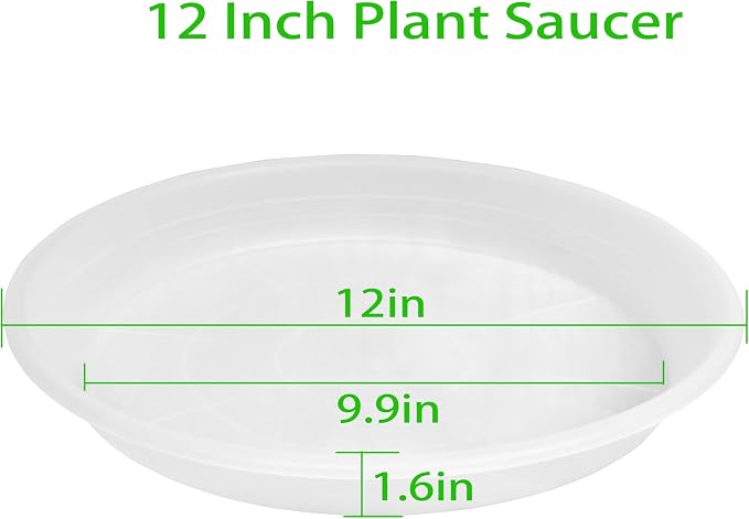 2 Pack of Clear Plant Saucer 12 inch, Clear Plastic Plant Drip Trays, Heavy Duty Plant Trays for Indoors no Holes, Plant Water Tray for Planters