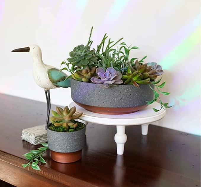 The HC Companies 3 Inch Sprite Mini Succulent Pot- Smal Plastic Planter with Drainage for Indoor Plants, Faux Concrete Copper