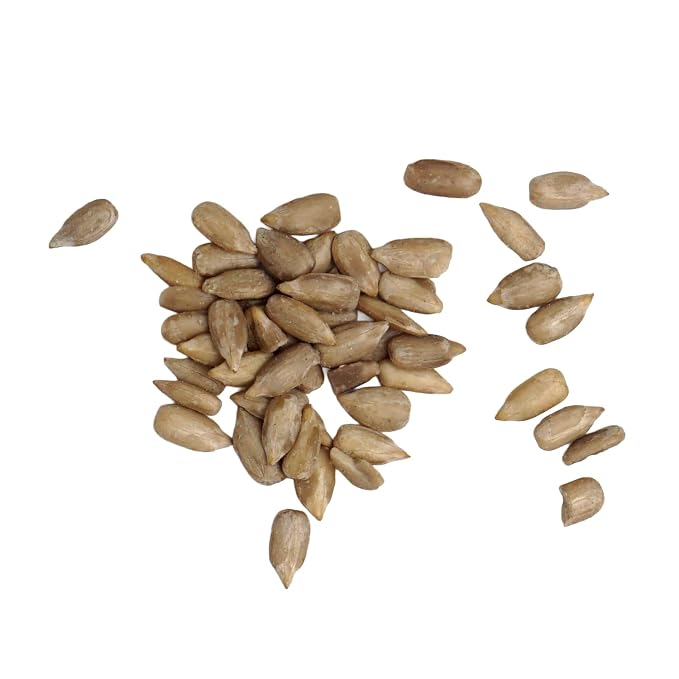 Raw Sunflower Seeds, 2 Pound Bag, Hampton Distribution