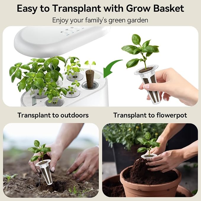 inbloom 12-Pod Gourmet Herb Basil Seed Pod Kit for AeroGarden, Ahopegarden Hydroponic Garden, Basil, Mint, Cilantro, Parsley, Shiso, Chicory, Liquorice, 400+ Seeds